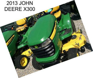 2013 JOHN DEERE X300