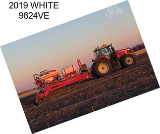 2019 WHITE 9824VE