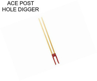 ACE POST HOLE DIGGER