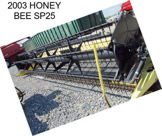 2003 HONEY BEE SP25