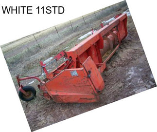 WHITE 11STD