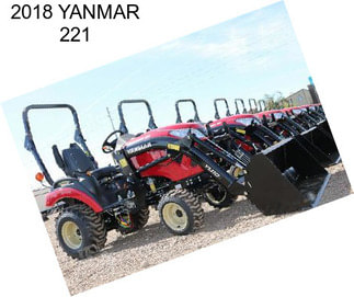 2018 YANMAR 221