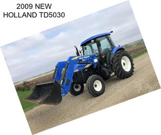 2009 NEW HOLLAND TD5030