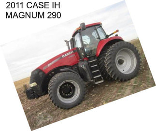 2011 CASE IH MAGNUM 290