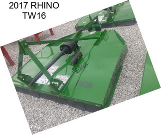 2017 RHINO TW16