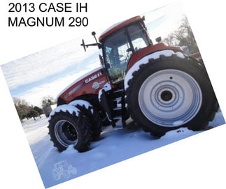 2013 CASE IH MAGNUM 290