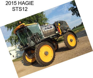 2015 HAGIE STS12