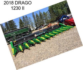 2018 DRAGO 1230 II