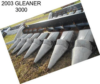 2003 GLEANER 3000