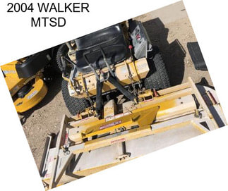 2004 WALKER MTSD