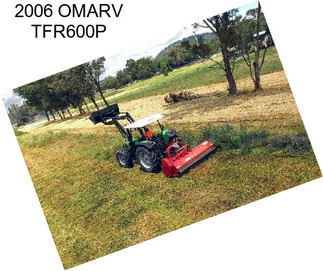 2006 OMARV TFR600P