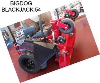 BIGDOG BLACKJACK 54