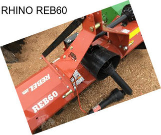 RHINO REB60