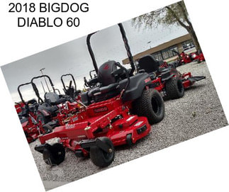 2018 BIGDOG DIABLO 60