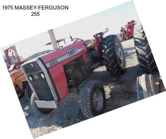 1975 MASSEY-FERGUSON 255