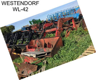 WESTENDORF WL-42