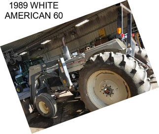 1989 WHITE AMERICAN 60