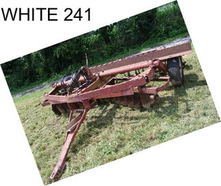 WHITE 241