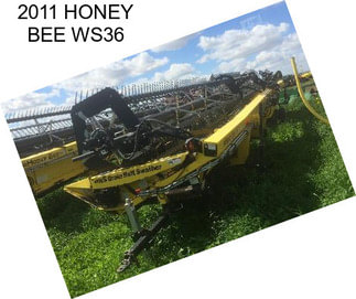 2011 HONEY BEE WS36