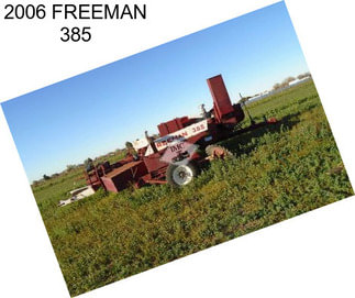 2006 FREEMAN 385