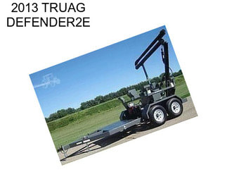 2013 TRUAG DEFENDER2E