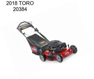 2018 TORO 20384