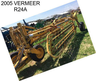 2005 VERMEER R24A