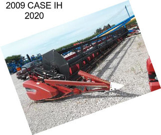 2009 CASE IH 2020