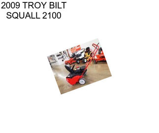 2009 TROY BILT SQUALL 2100