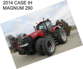 2014 CASE IH MAGNUM 290