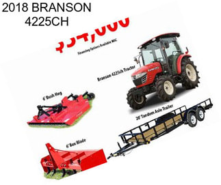 2018 BRANSON 4225CH