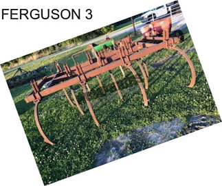 FERGUSON 3