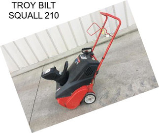 TROY BILT SQUALL 210