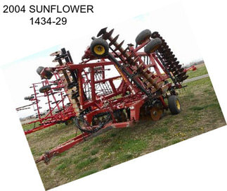 2004 SUNFLOWER 1434-29