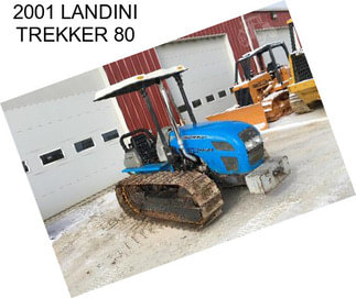 2001 LANDINI TREKKER 80