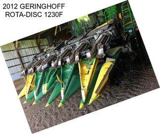 2012 GERINGHOFF ROTA-DISC 1230F