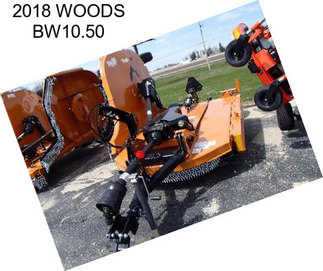 2018 WOODS BW10.50