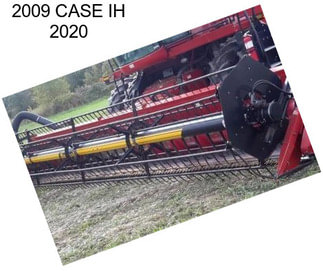 2009 CASE IH 2020