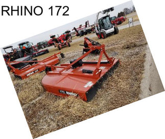 RHINO 172