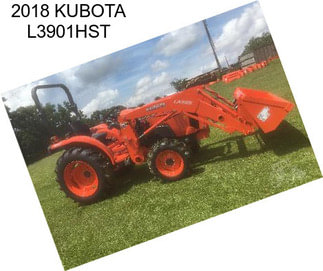 2018 KUBOTA L3901HST