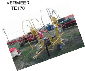 VERMEER TE170