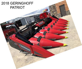 2018 GERINGHOFF PATRIOT