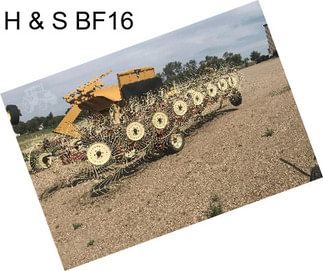 H & S BF16