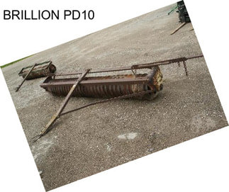 BRILLION PD10