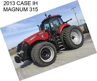 2013 CASE IH MAGNUM 315