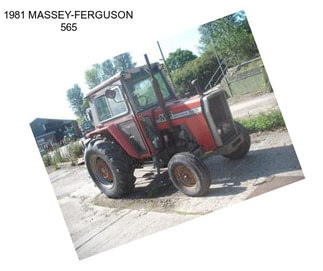 1981 MASSEY-FERGUSON 565