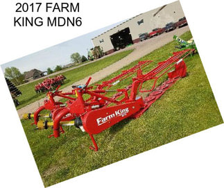 2017 FARM KING MDN6