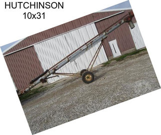 HUTCHINSON 10x31