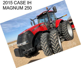 2015 CASE IH MAGNUM 250