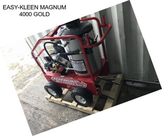 EASY-KLEEN MAGNUM 4000 GOLD